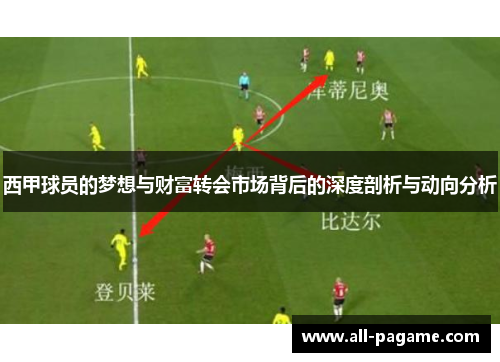 西甲球员的梦想与财富转会市场背后的深度剖析与动向分析