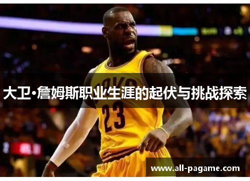 大卫·詹姆斯职业生涯的起伏与挑战探索