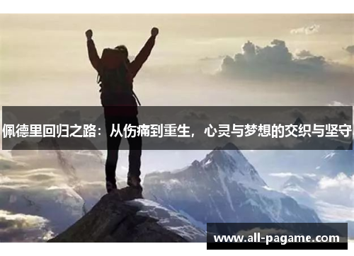 佩德里回归之路：从伤痛到重生，心灵与梦想的交织与坚守