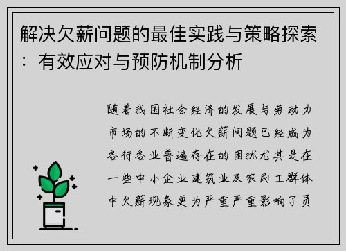 解决欠薪问题的最佳实践与策略探索：有效应对与预防机制分析