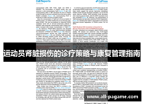 运动员肾脏损伤的诊疗策略与康复管理指南